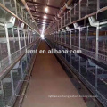 coop chicken brooder bird cage para la venta